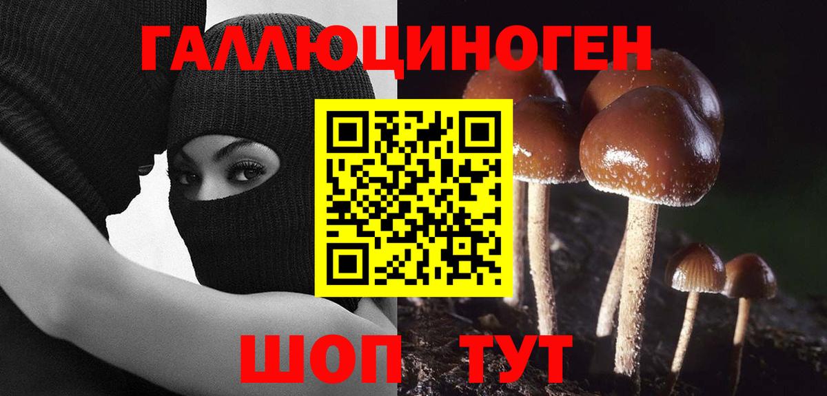 Керчь  Галлюциногенные грибы GOLDEN TEACHER  Вход с VPN 