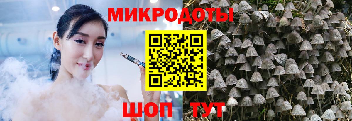Псилоцибиновые грибы Cubensis Керчь